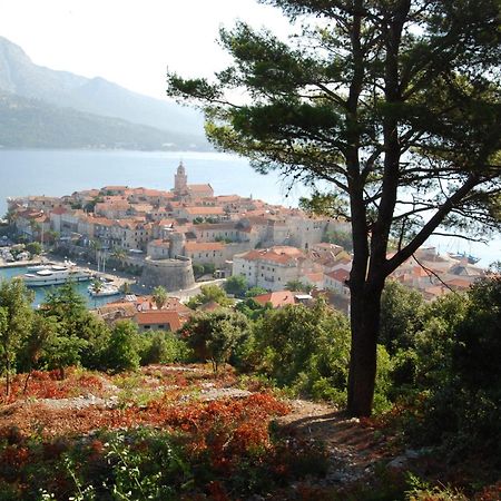 Villa Nova Vela Luka Exteriér fotografie